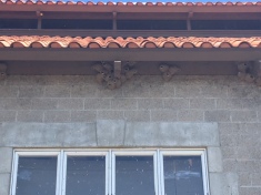 Swallows nests at Etude