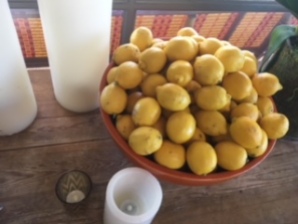 Bowl of lemon display
