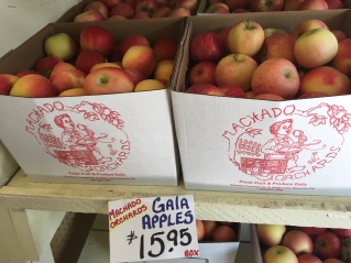 Sweet Gala Apples at Machados